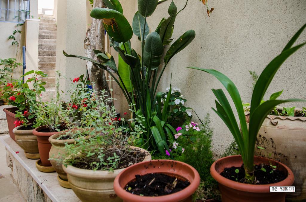 فندق Alexandra House الناصرة المظهر الخارجي الصورة